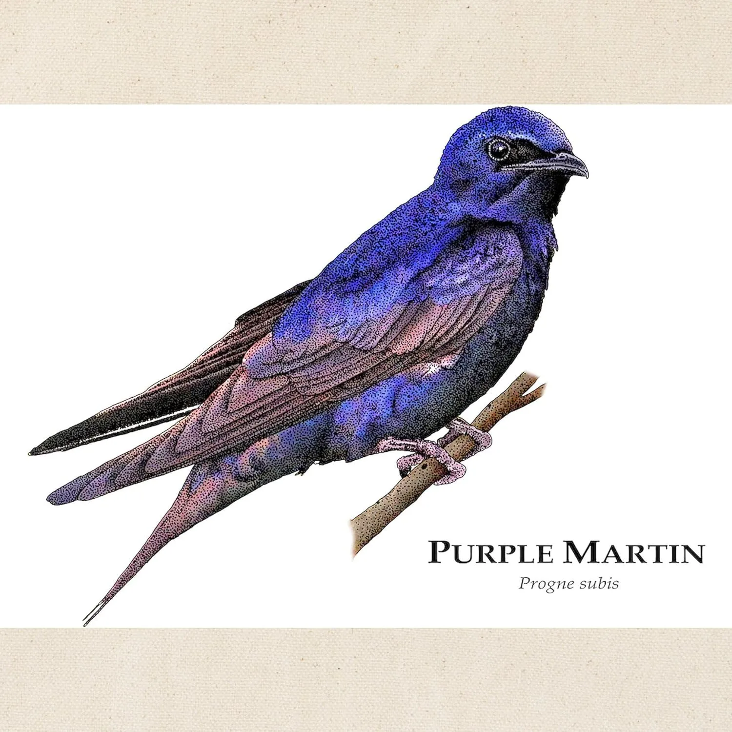 CafePress Purple Martin Tote Bag Natural Canvas Tote Bag, Reusable Shopping Bag